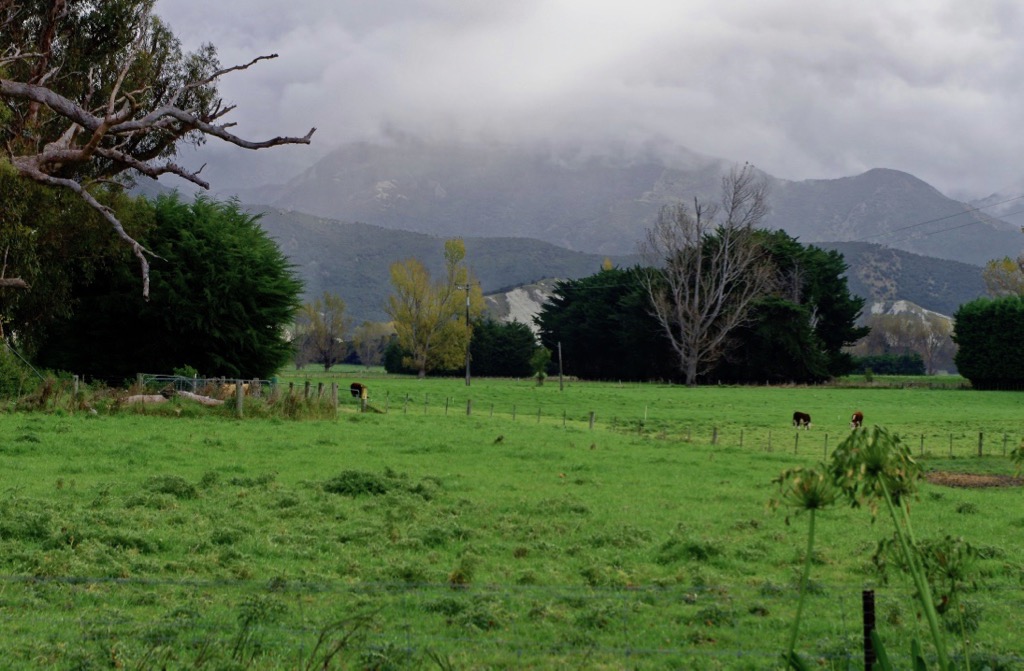 The farm from near the homestead