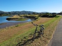 Hutt River Trail near Gracefield