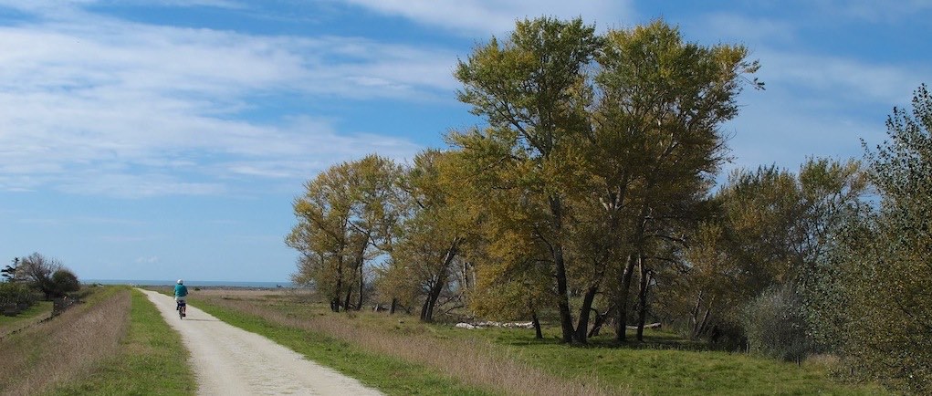 Tukituki River Trail, Hawke's Bay
