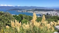 Wellington from Tinakori Hill