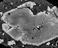 Clinopyroxene, backscattered electron image