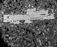 Biotite, backscattered electron image 