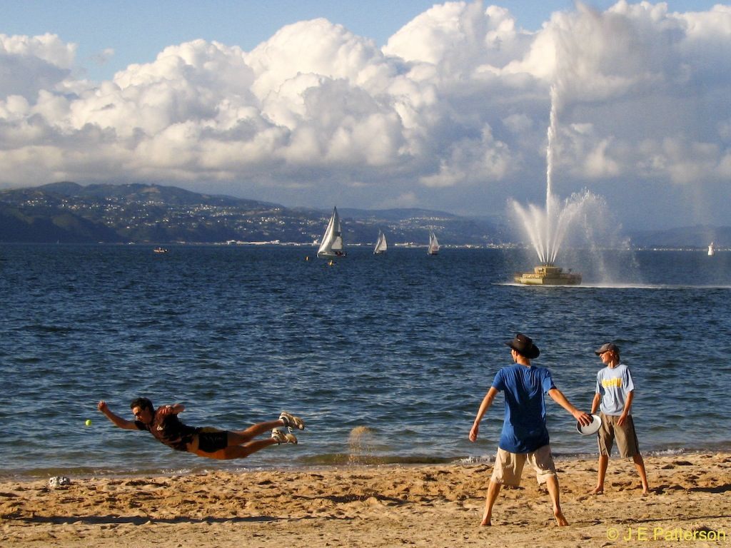 Summer in Oriental Bay, Wellington
