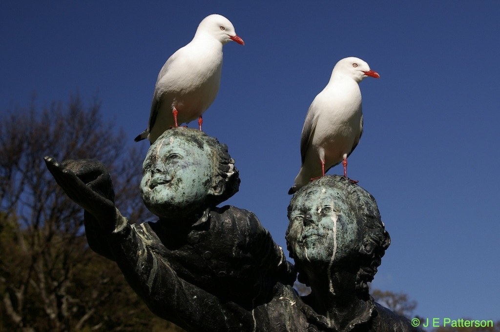 Botanical Gardens, Dunedin