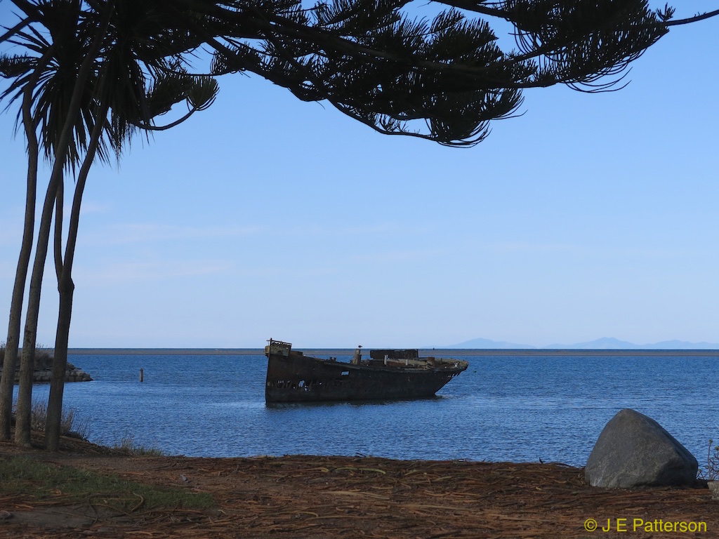 Janie Seddon Wreck, Motueka