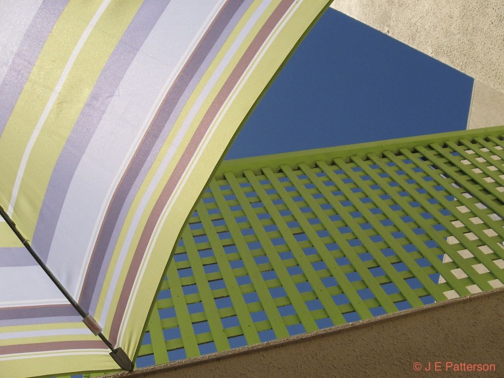 Busy Bee Bistro, Raumati